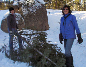 Christmas Tree.jpg