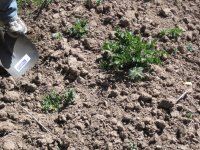 Soil Samples Too