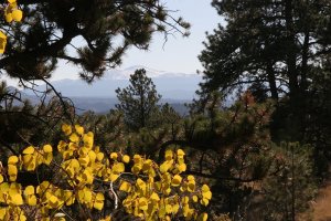 Fall View of Pikes Peak